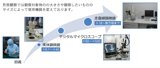 説明用画像:形態観察では観察対象物の大きさやサイズによって使用機器を変えております