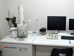形態観察には走査電子顕微鏡を使用します 形態観察には走査電子顕微鏡を使用します